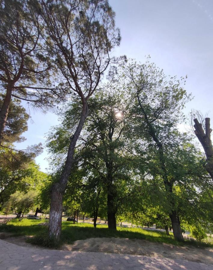 Dardana&Gerjon Apartament Kamez Εξωτερικό φωτογραφία